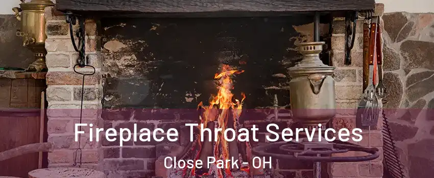 Fireplace Throat Services Close Park - OH