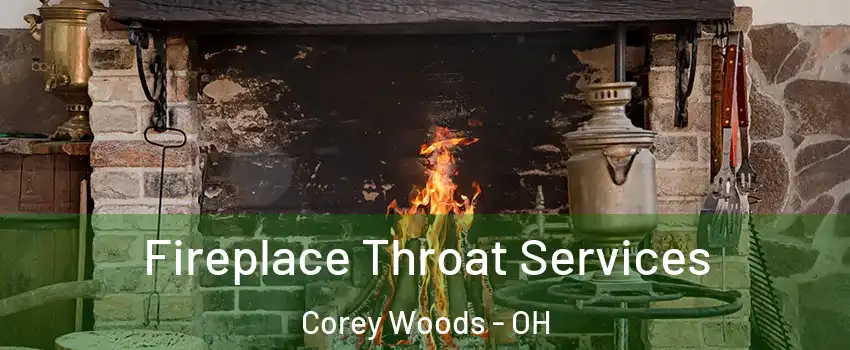 Fireplace Throat Services Corey Woods - OH