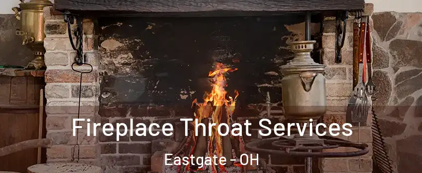 Fireplace Throat Services Eastgate - OH
