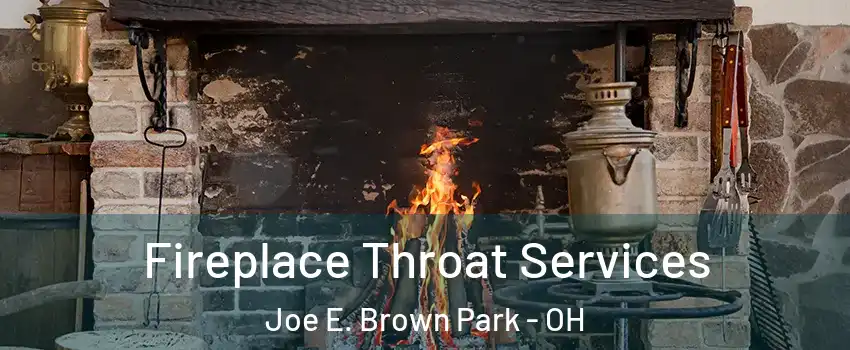 Fireplace Throat Services Joe E. Brown Park - OH