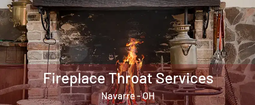 Fireplace Throat Services Navarre - OH