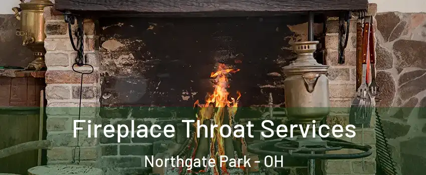 Fireplace Throat Services Northgate Park - OH