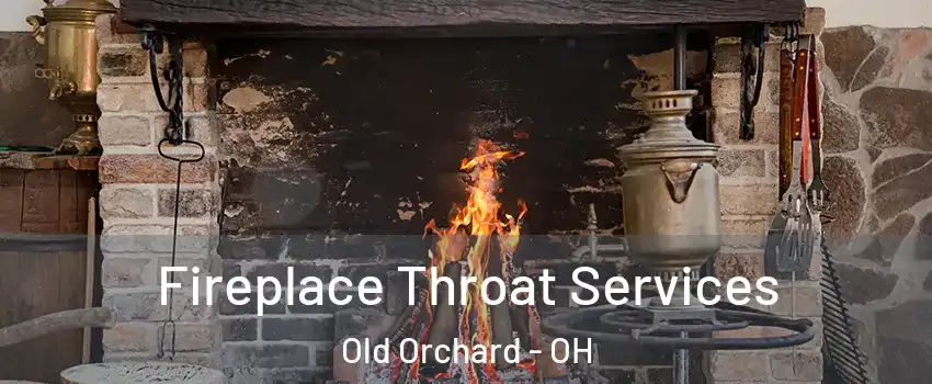 Fireplace Throat Services Old Orchard - OH