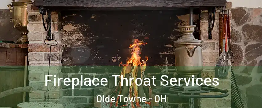 Fireplace Throat Services Olde Towne - OH