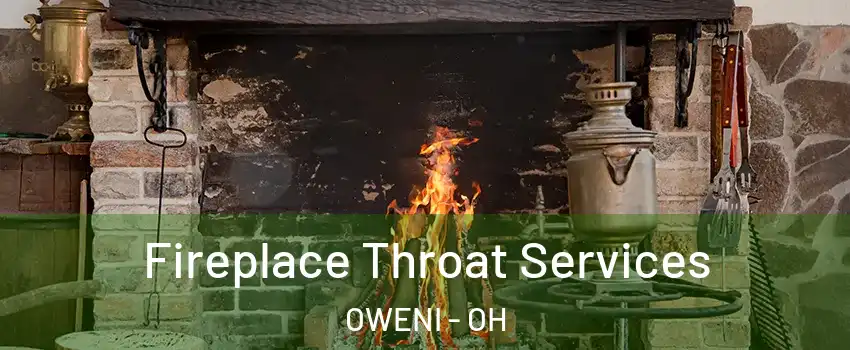 Fireplace Throat Services OWENI - OH