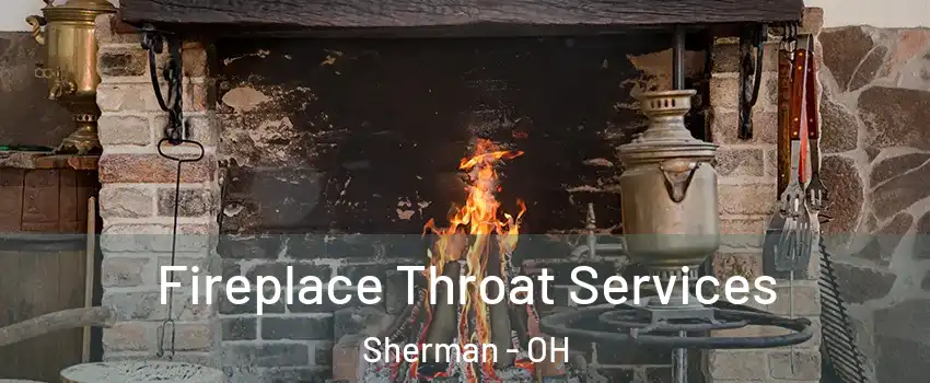 Fireplace Throat Services Sherman - OH