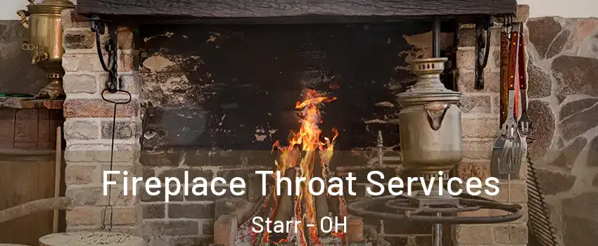 Fireplace Throat Services Starr - OH