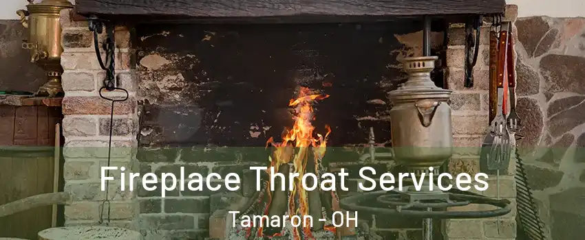 Fireplace Throat Services Tamaron - OH