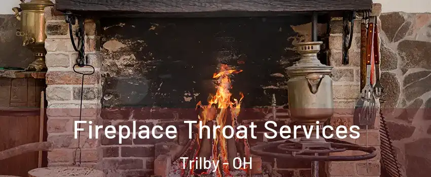 Fireplace Throat Services Trilby - OH