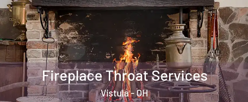 Fireplace Throat Services Vistula - OH