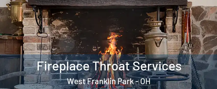 Fireplace Throat Services West Franklin Park - OH