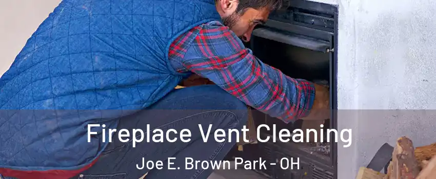 Fireplace Vent Cleaning Joe E. Brown Park - OH