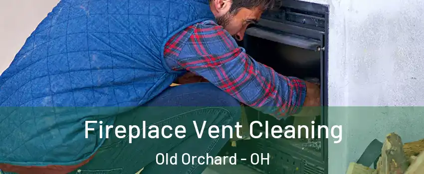 Fireplace Vent Cleaning Old Orchard - OH