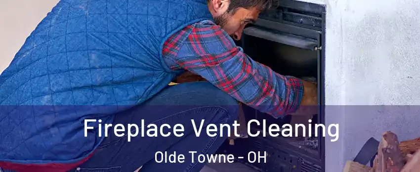 Fireplace Vent Cleaning Olde Towne - OH