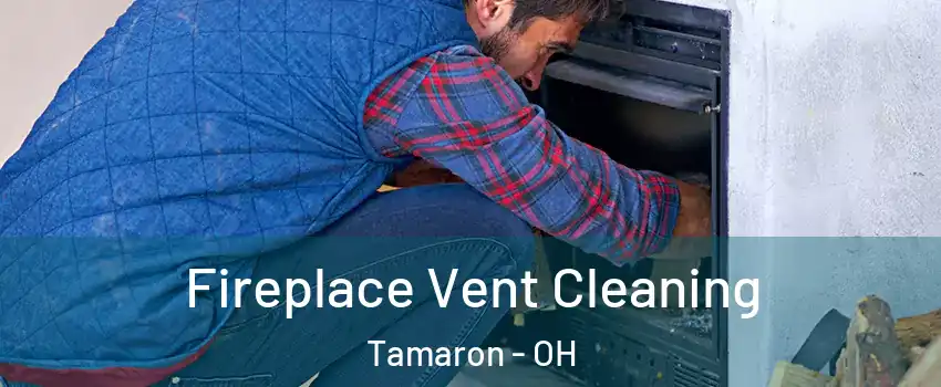 Fireplace Vent Cleaning Tamaron - OH