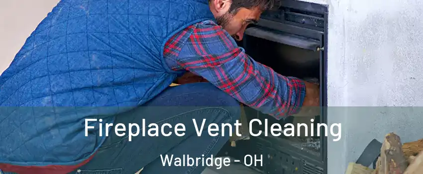 Fireplace Vent Cleaning Walbridge - OH