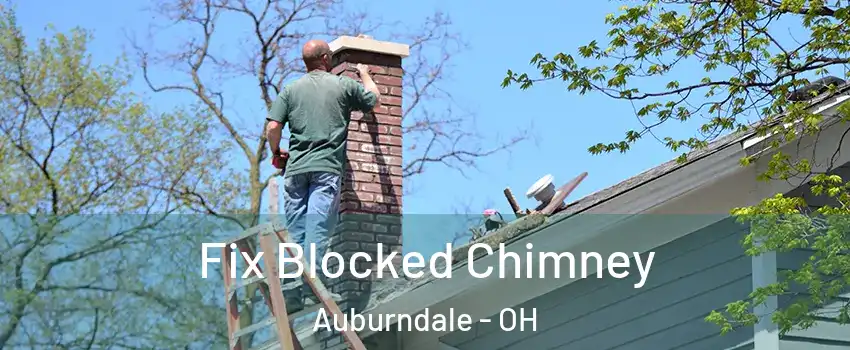Fix Blocked Chimney Auburndale - OH