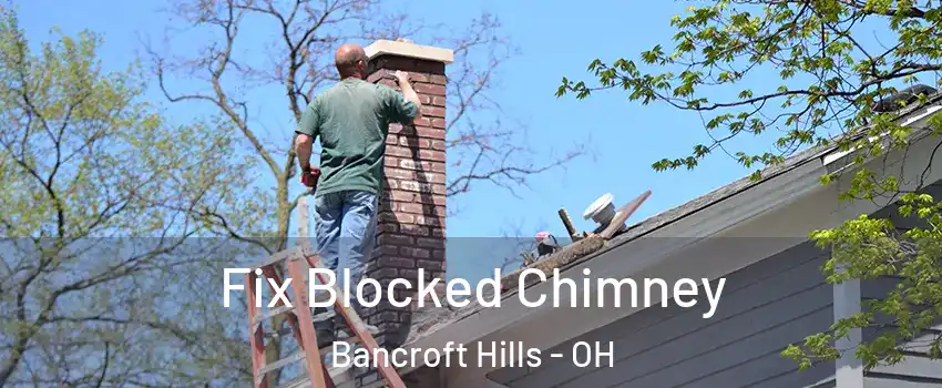 Fix Blocked Chimney Bancroft Hills - OH
