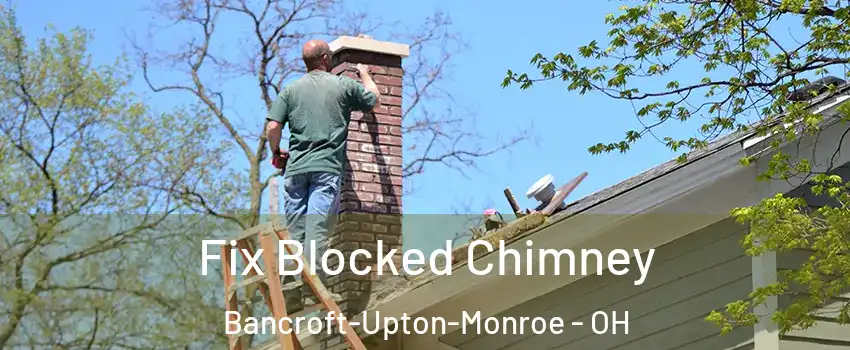 Fix Blocked Chimney Bancroft-Upton-Monroe - OH