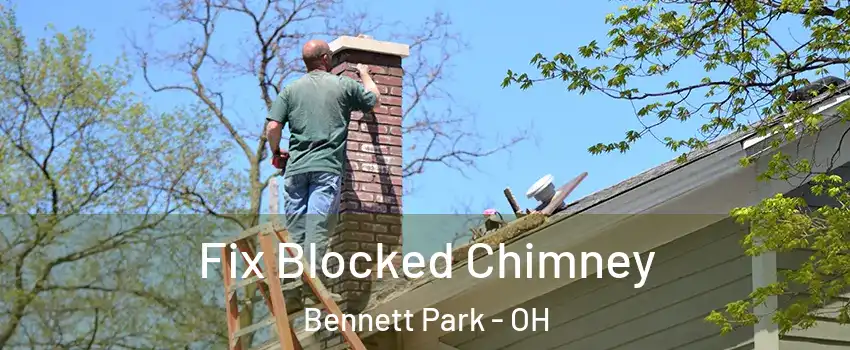 Fix Blocked Chimney Bennett Park - OH