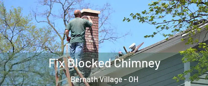 Fix Blocked Chimney Bernath Village - OH