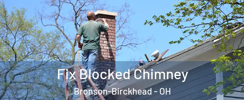 Fix Blocked Chimney Bronson-Birckhead - OH
