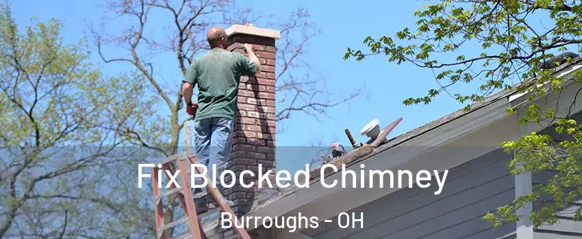 Fix Blocked Chimney Burroughs - OH
