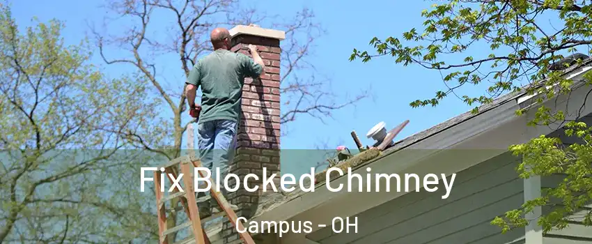 Fix Blocked Chimney Campus - OH