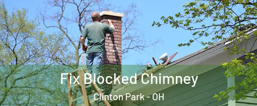 Fix Blocked Chimney Clinton Park - OH