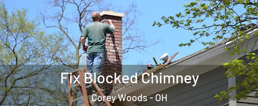 Fix Blocked Chimney Corey Woods - OH