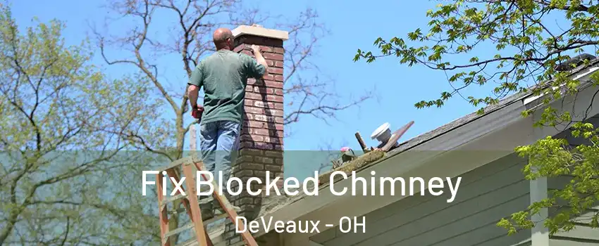 Fix Blocked Chimney DeVeaux - OH