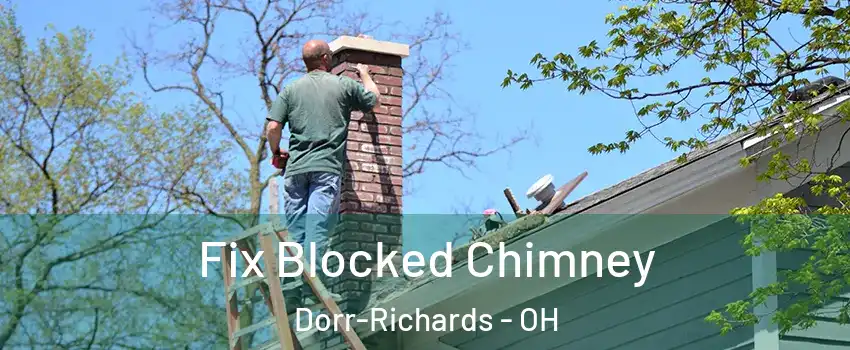 Fix Blocked Chimney Dorr-Richards - OH