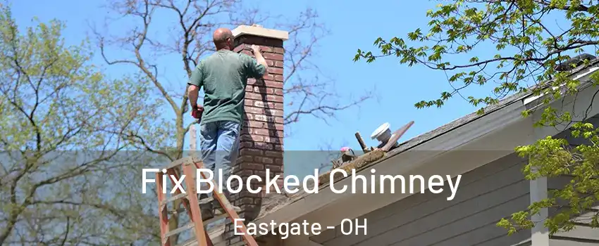 Fix Blocked Chimney Eastgate - OH