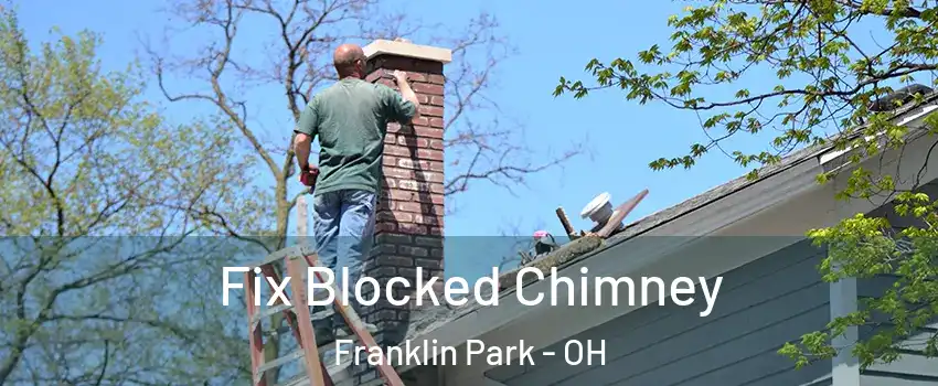 Fix Blocked Chimney Franklin Park - OH