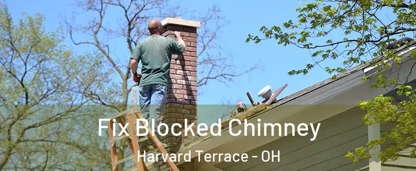 Fix Blocked Chimney Harvard Terrace - OH