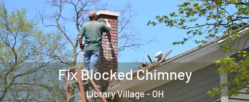 Fix Blocked Chimney Library Village - OH