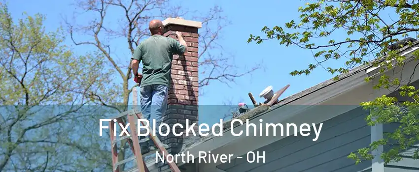 Fix Blocked Chimney North River - OH
