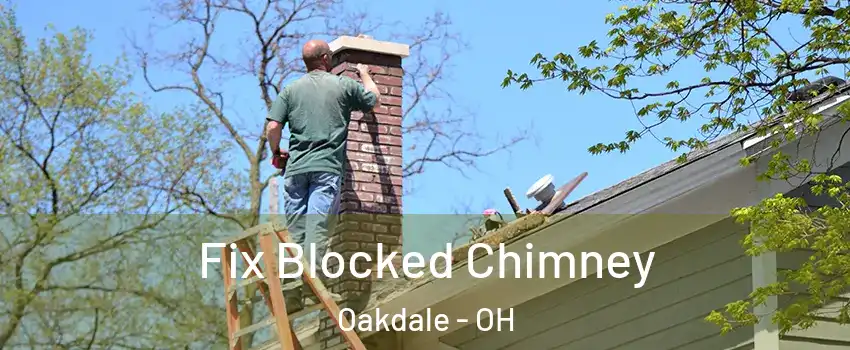 Fix Blocked Chimney Oakdale - OH