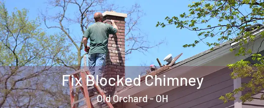 Fix Blocked Chimney Old Orchard - OH