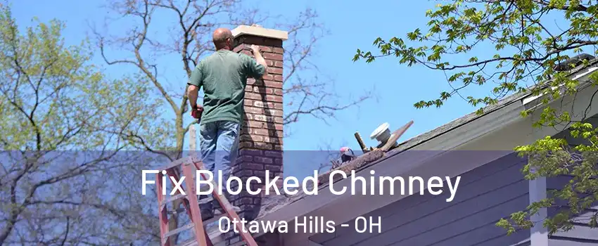 Fix Blocked Chimney Ottawa Hills - OH