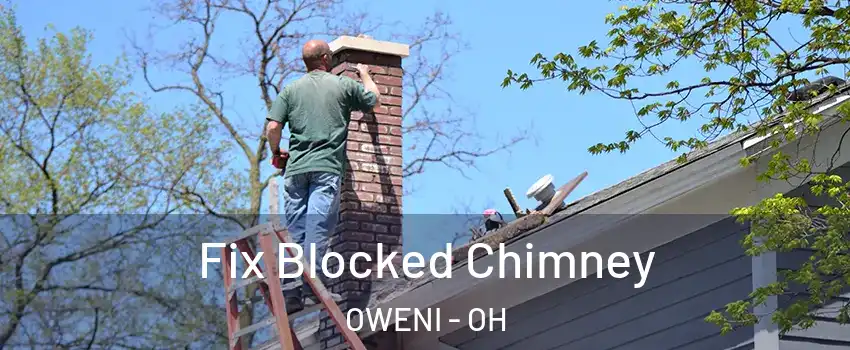 Fix Blocked Chimney OWENI - OH