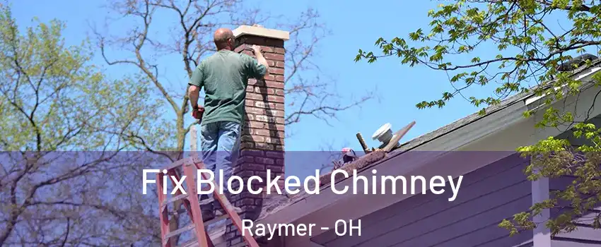 Fix Blocked Chimney Raymer - OH