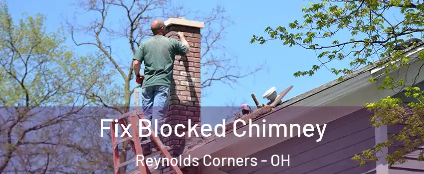 Fix Blocked Chimney Reynolds Corners - OH