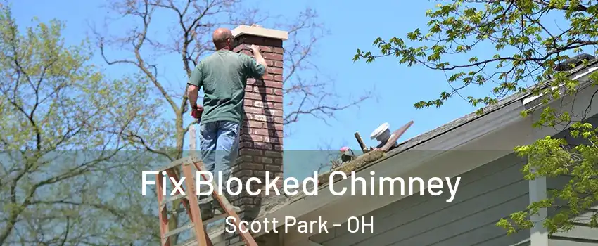 Fix Blocked Chimney Scott Park - OH