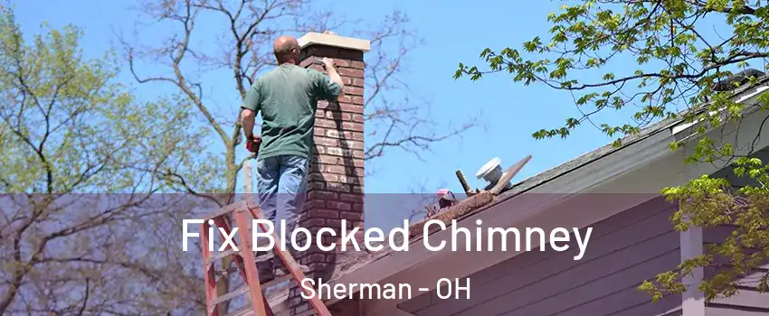 Fix Blocked Chimney Sherman - OH