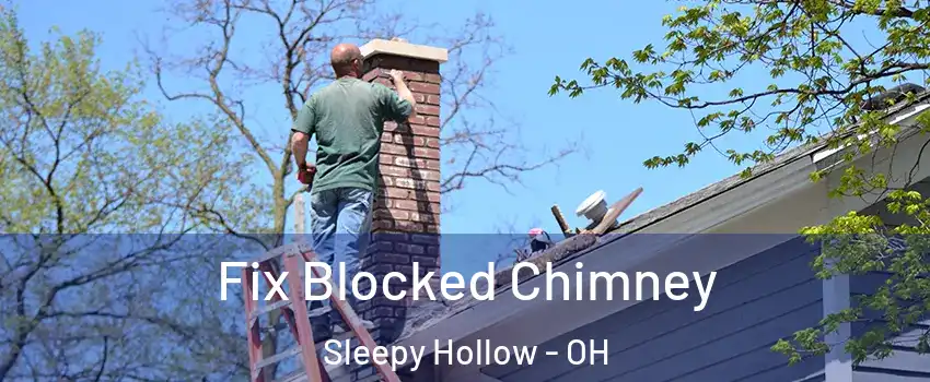 Fix Blocked Chimney Sleepy Hollow - OH