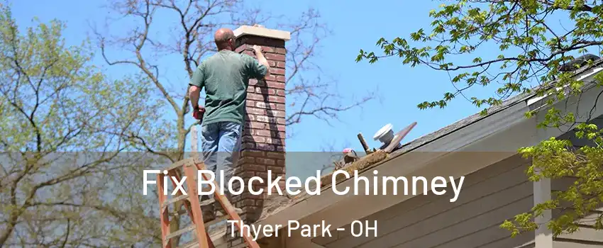 Fix Blocked Chimney Thyer Park - OH