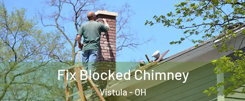 Fix Blocked Chimney Vistula - OH