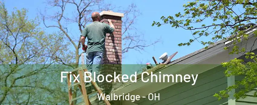 Fix Blocked Chimney Walbridge - OH