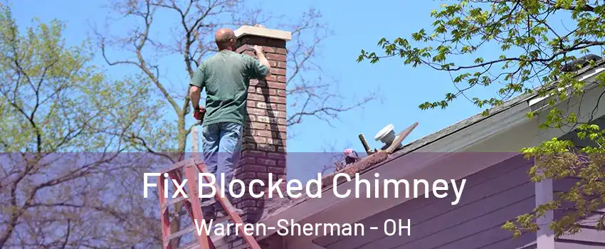Fix Blocked Chimney Warren-Sherman - OH